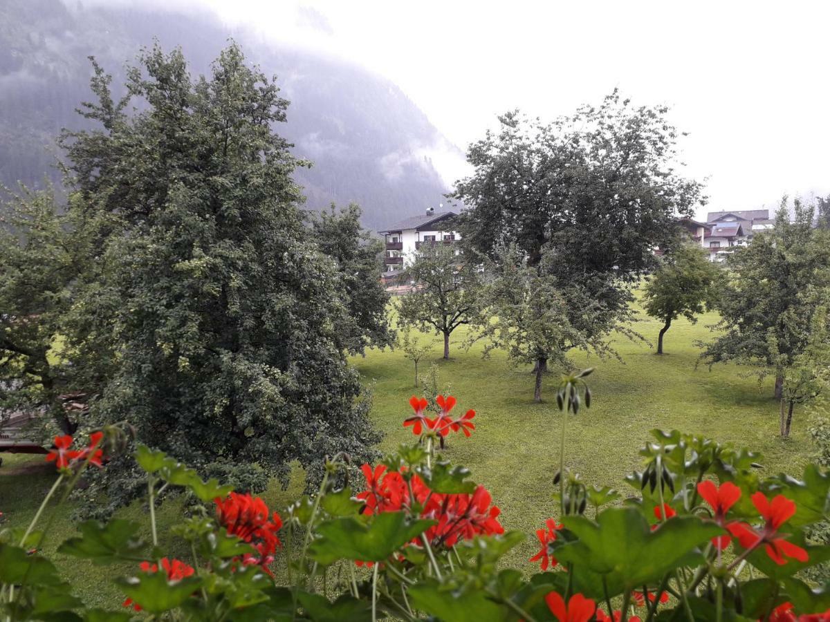 Nieslerhof Villa Mayrhofen Eksteriør billede