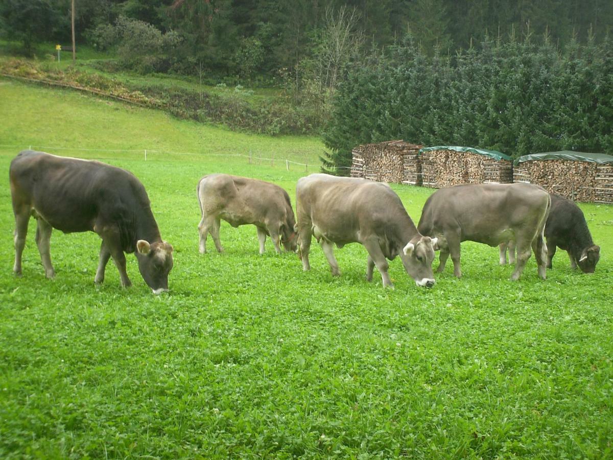 Nieslerhof Villa Mayrhofen Eksteriør billede