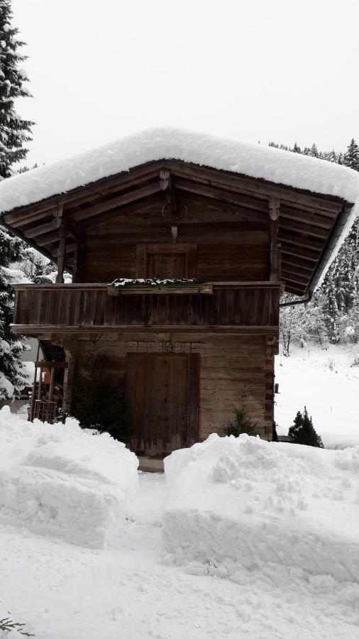 Nieslerhof Villa Mayrhofen Eksteriør billede