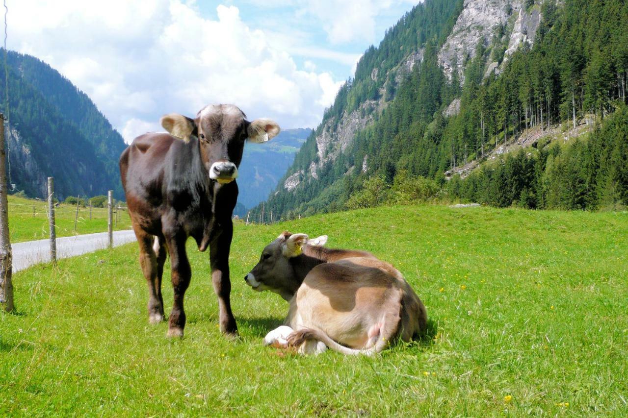 Nieslerhof Villa Mayrhofen Eksteriør billede